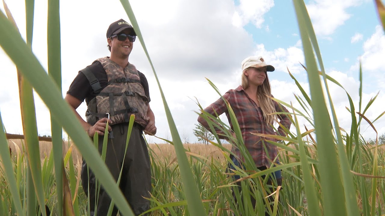 Swamp Farmers: Restoring Wetlands with K & S Growers | Northwest Profiles (2020) | KSPS PBS