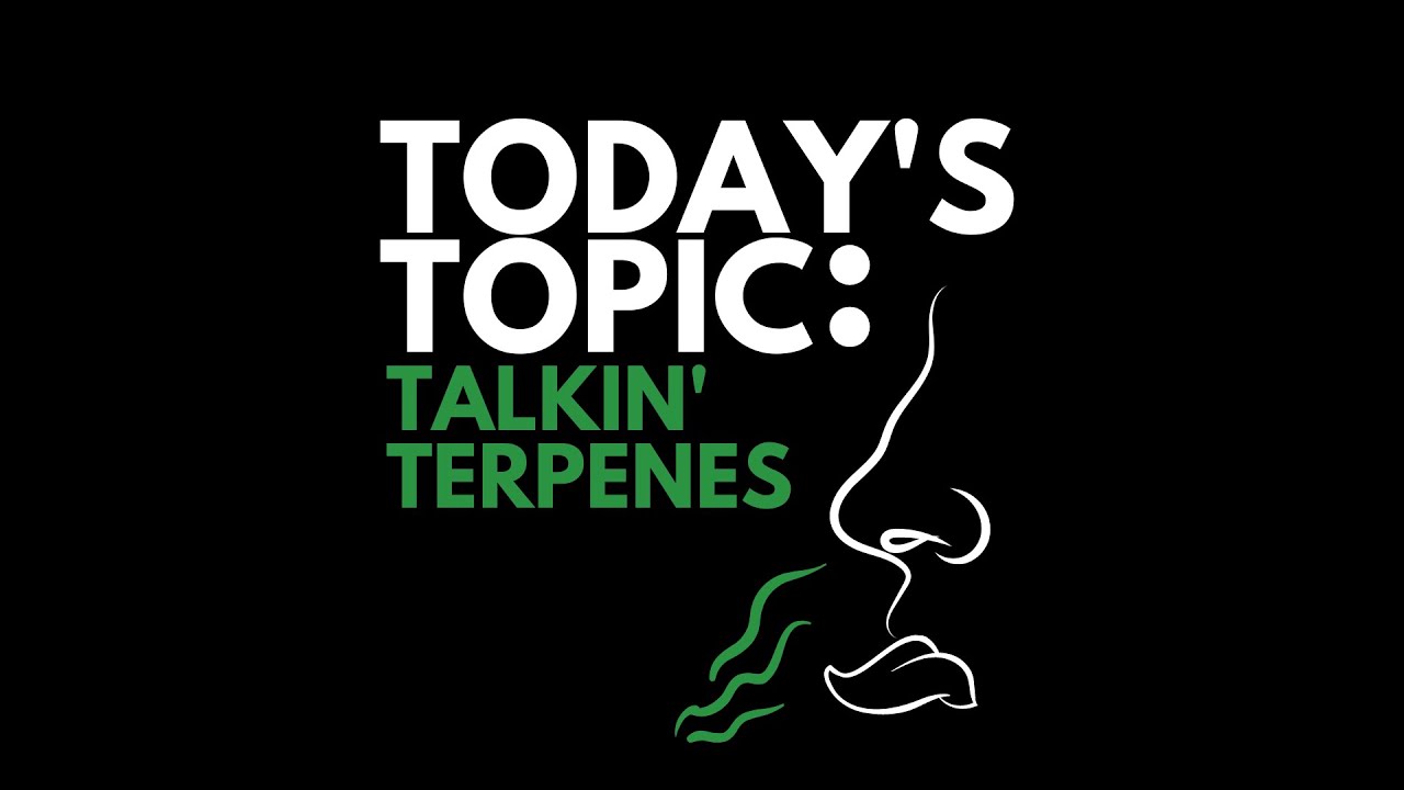 TALKIN TERPENES