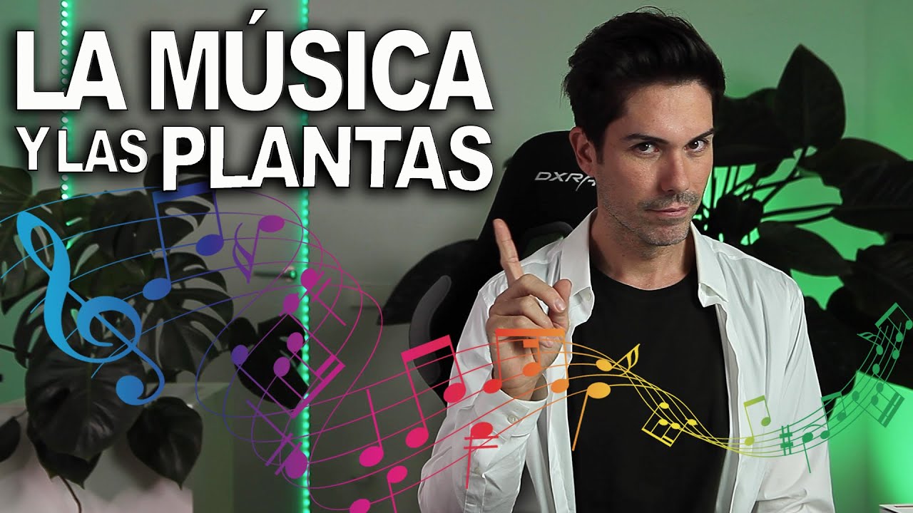 ¿Las PLANTAS nos ESCUCHAN? ¿Qué pasa si les pongo MÚSICA? ¿Cuál hay que ponerle? Te lo EXPLICO 🎵 😊