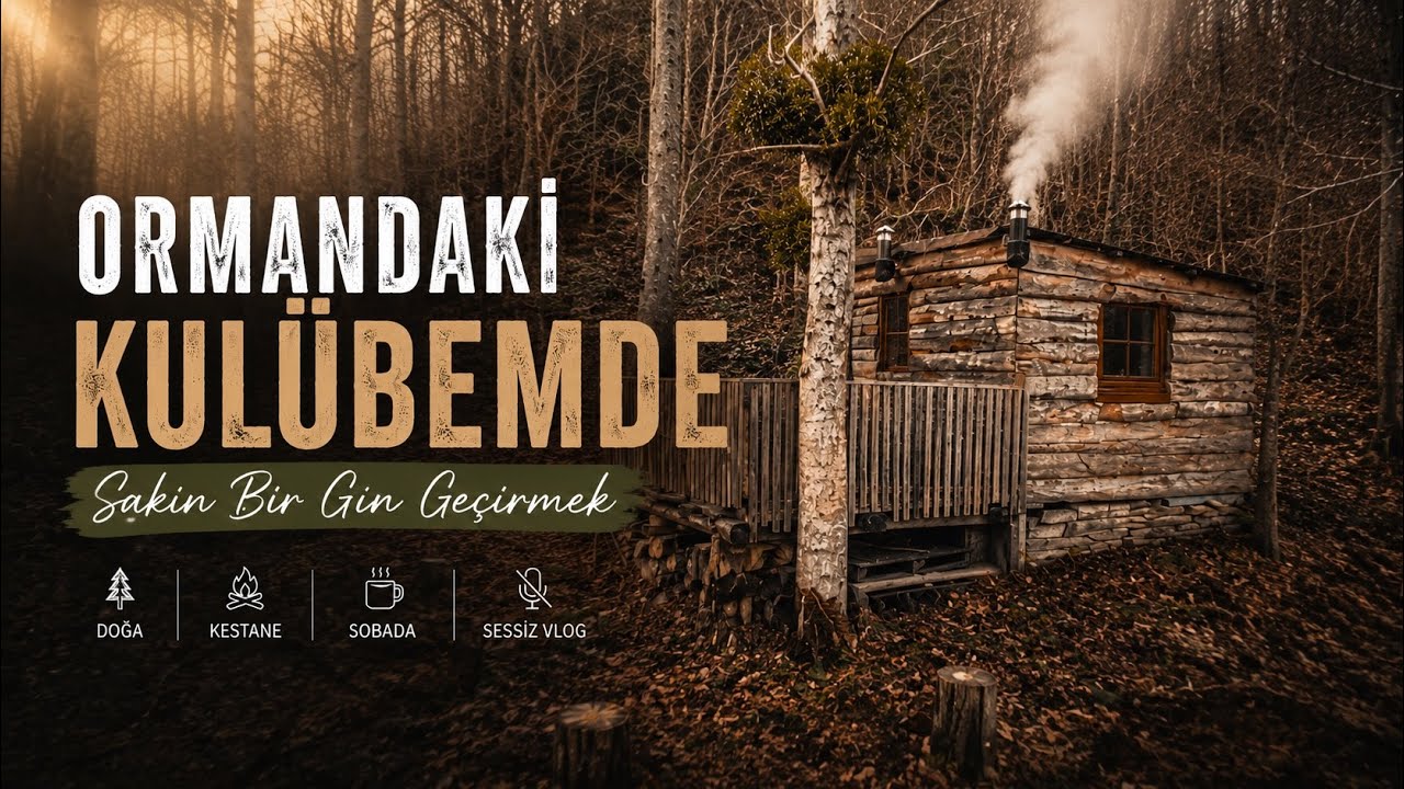 Ormandaki Kulübemde Sakin Bir Gün Geçirmek - Sobada Kestane - Doğa Sesleri #naturesounds