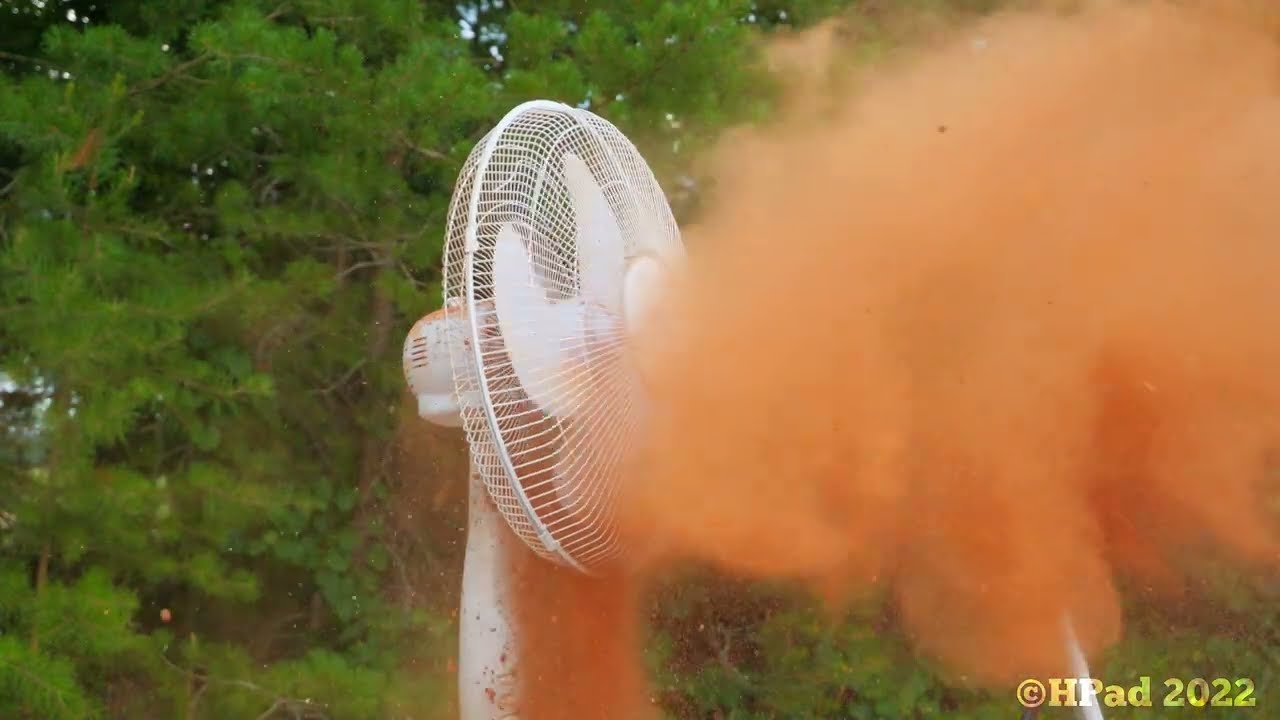 Sarasota Breeze Stand Fan Destruction