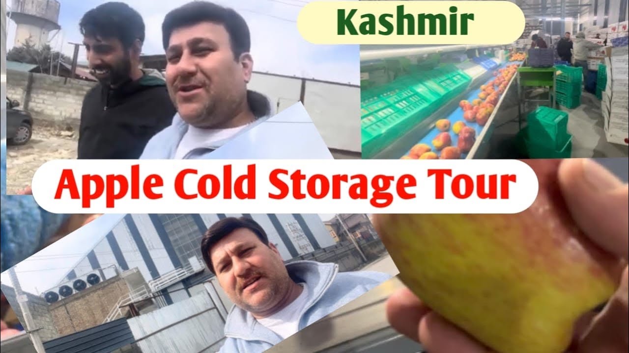 Cold storage Lassipora,Apple storage ..Kashmiri Apple cold storage units,VLOG 19…Apple cold storage
