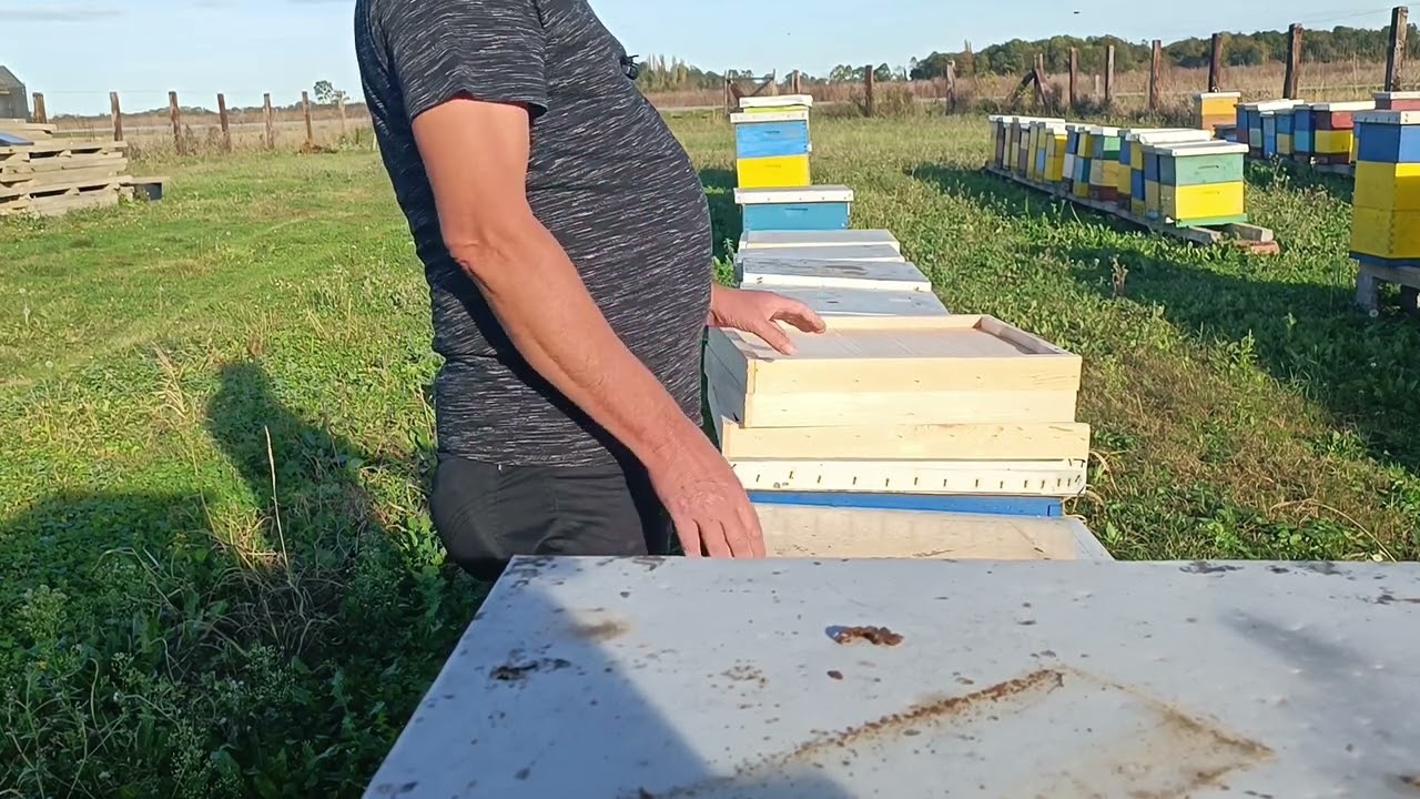 Ovo Vam je jedina i prava istina kako prepoznati koji je pravi med, a koji patvoreni