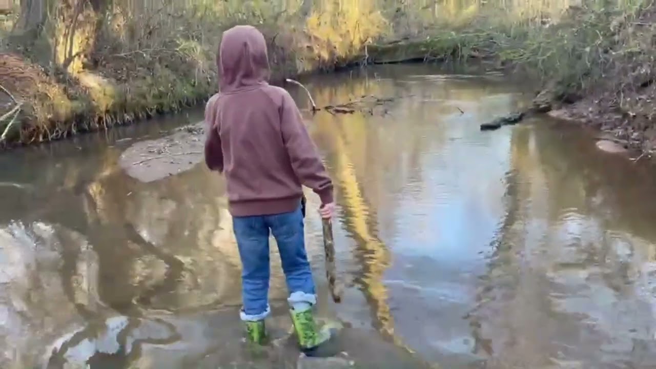 Minnow￼ trapping at the creek (part 1)