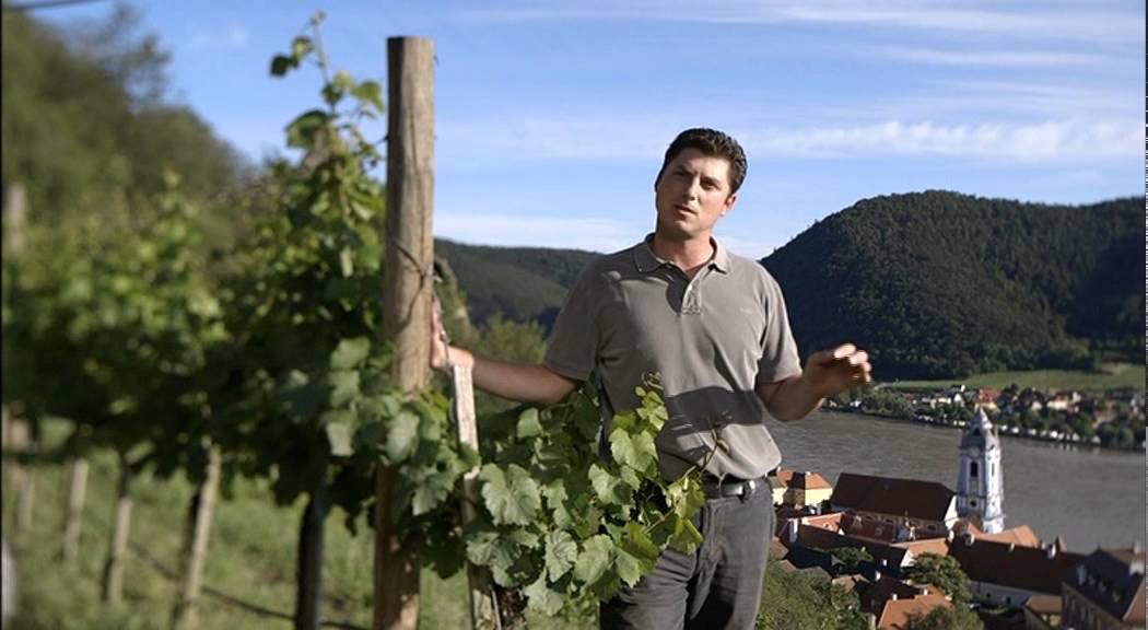 Feurige Wachau - FJ Gritsch