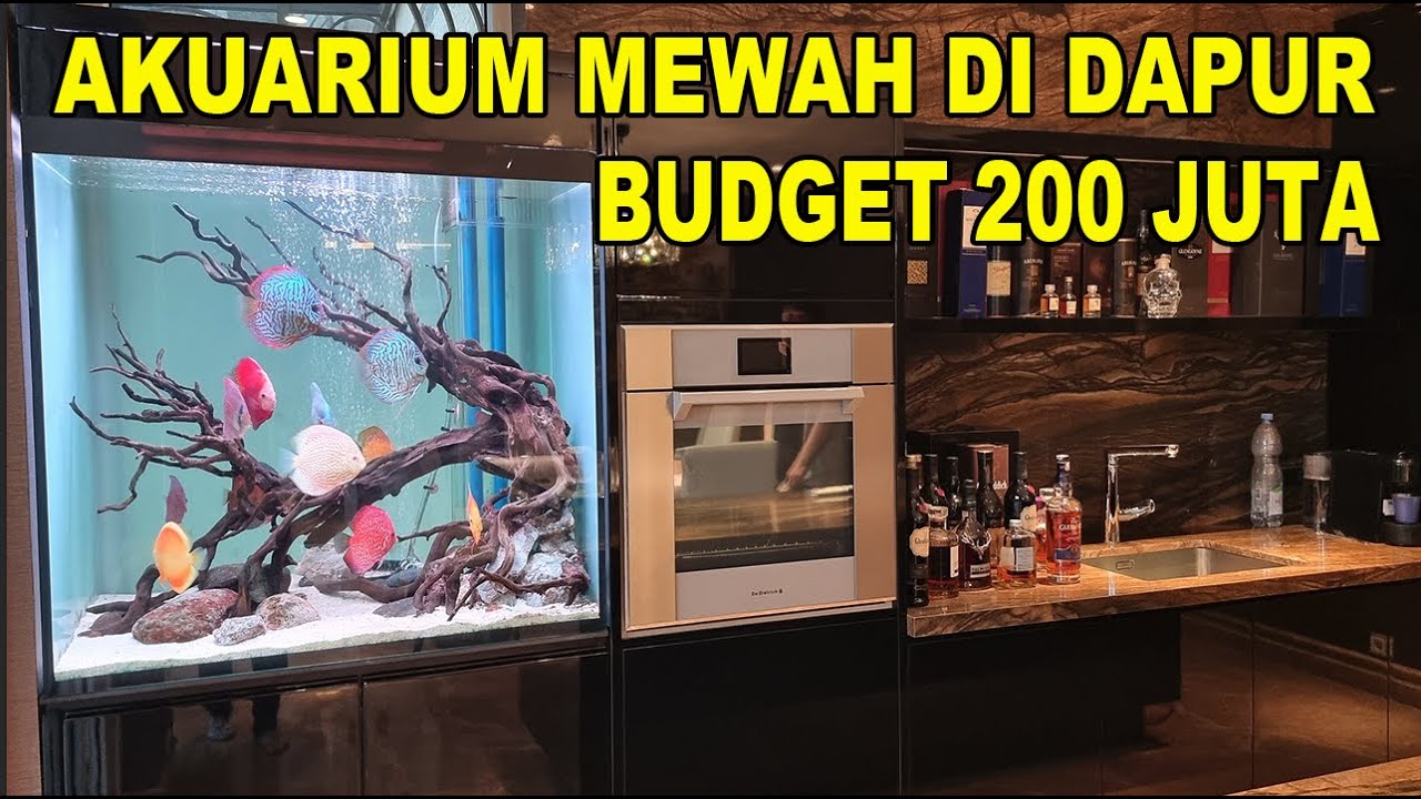 Akuarium Mewah Di Dapur Budget 200 Juta