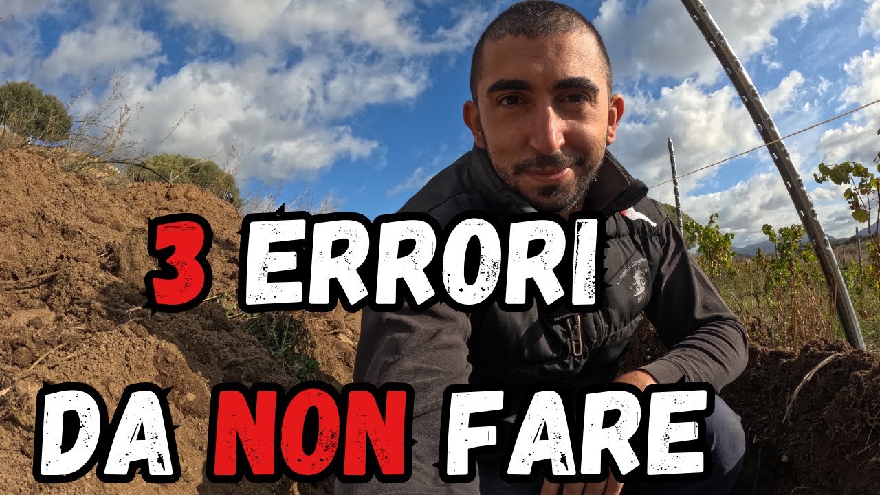 SAI IRRIGARE il tuo VIGNETO? (errori da evitare)