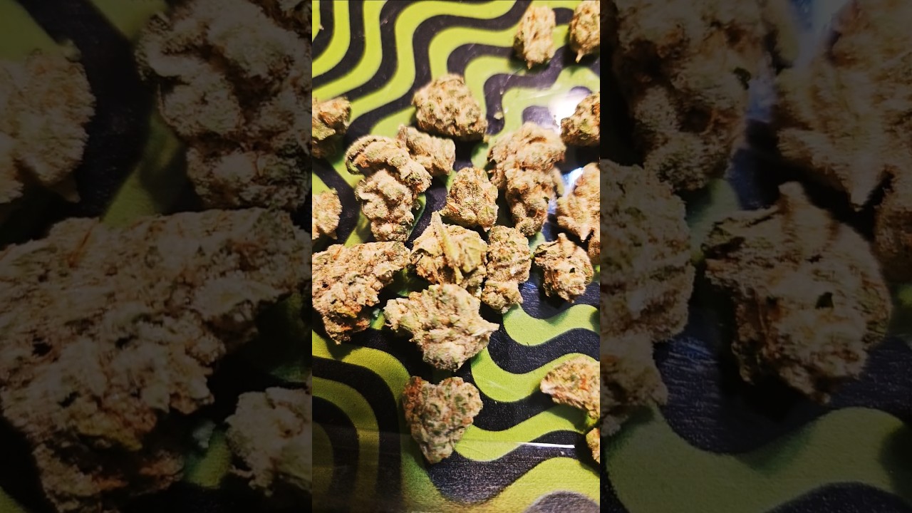 HOT MINT SUNDAE by BEDFORD GROW!