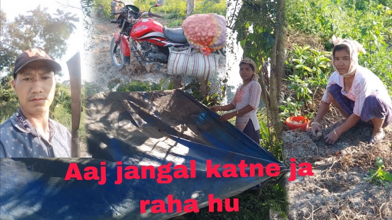 Aaj Jungle kitne ja raha hu kuddu ka kheti