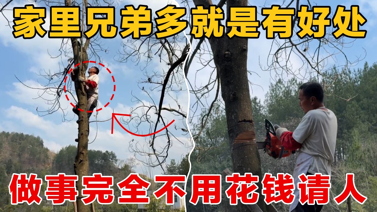 家里兄弟多好处多，完全不用花钱请人帮忙，自己就能轻松解决安全隐患