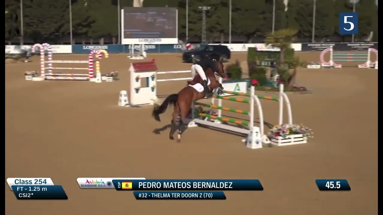 THELMA TER DOORN Z (Toulon / Sir Lui) - 2019 Mare - February 2026 - CSI** Sunshine Tour 3