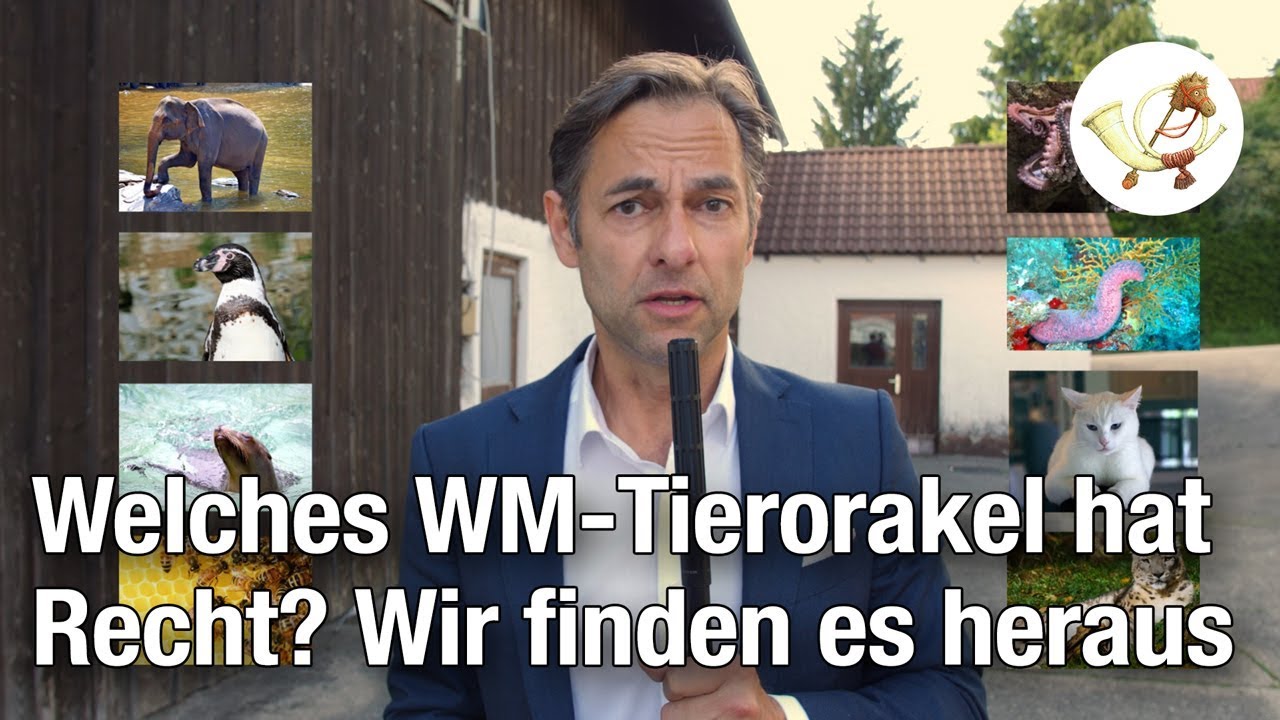 Welches WM-Tierorakel hat Recht? Das Sportillon-Tierorakel findet es heraus!