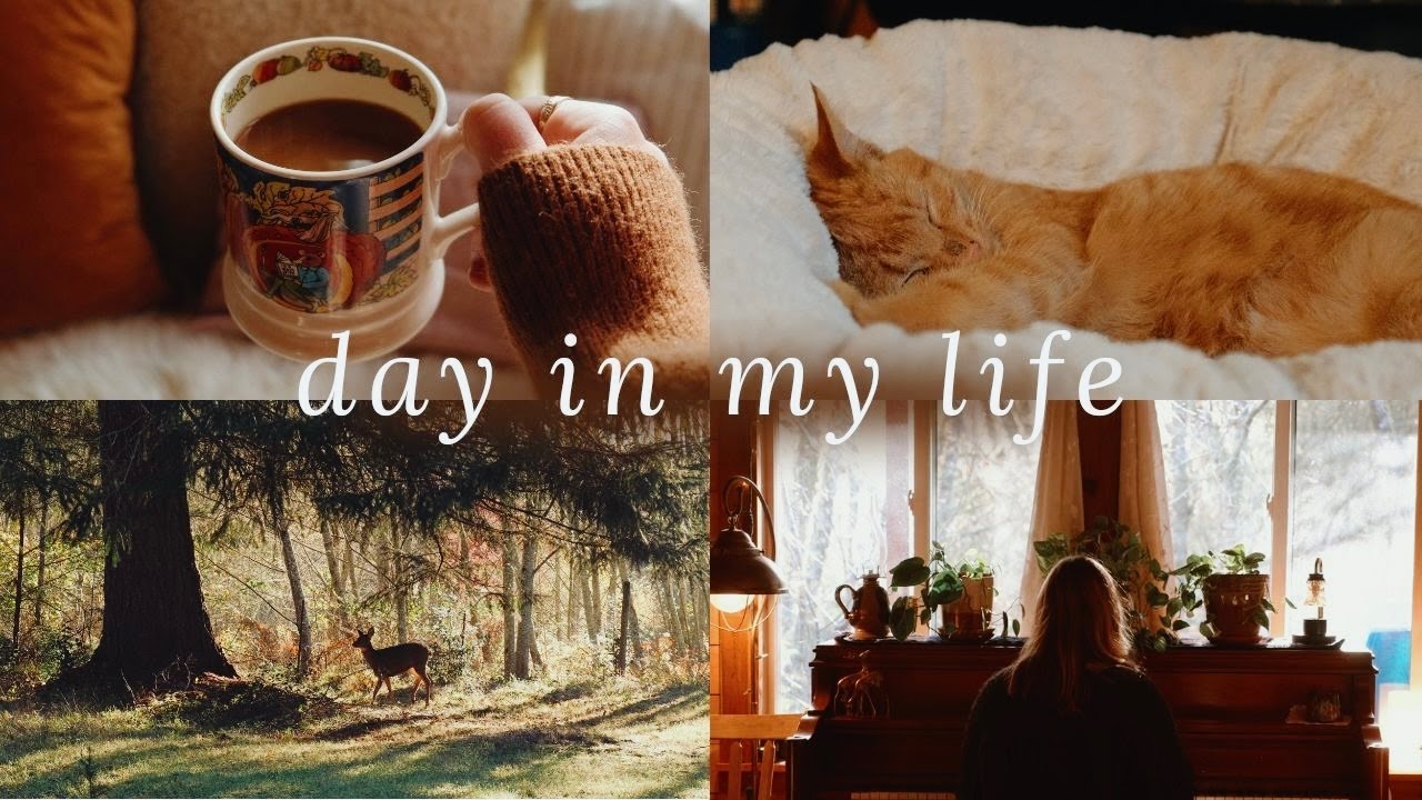 Finding Magic Again in the Every Day✨ a day in my life in my cabin in the woods.