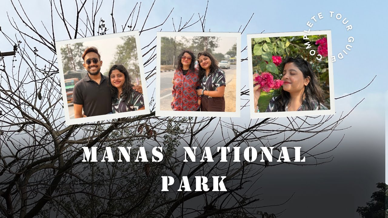 🔥#8 Manas National Park (Part 1) #subscribe #travel #lifestylechannel #lifestylevlog #assam 