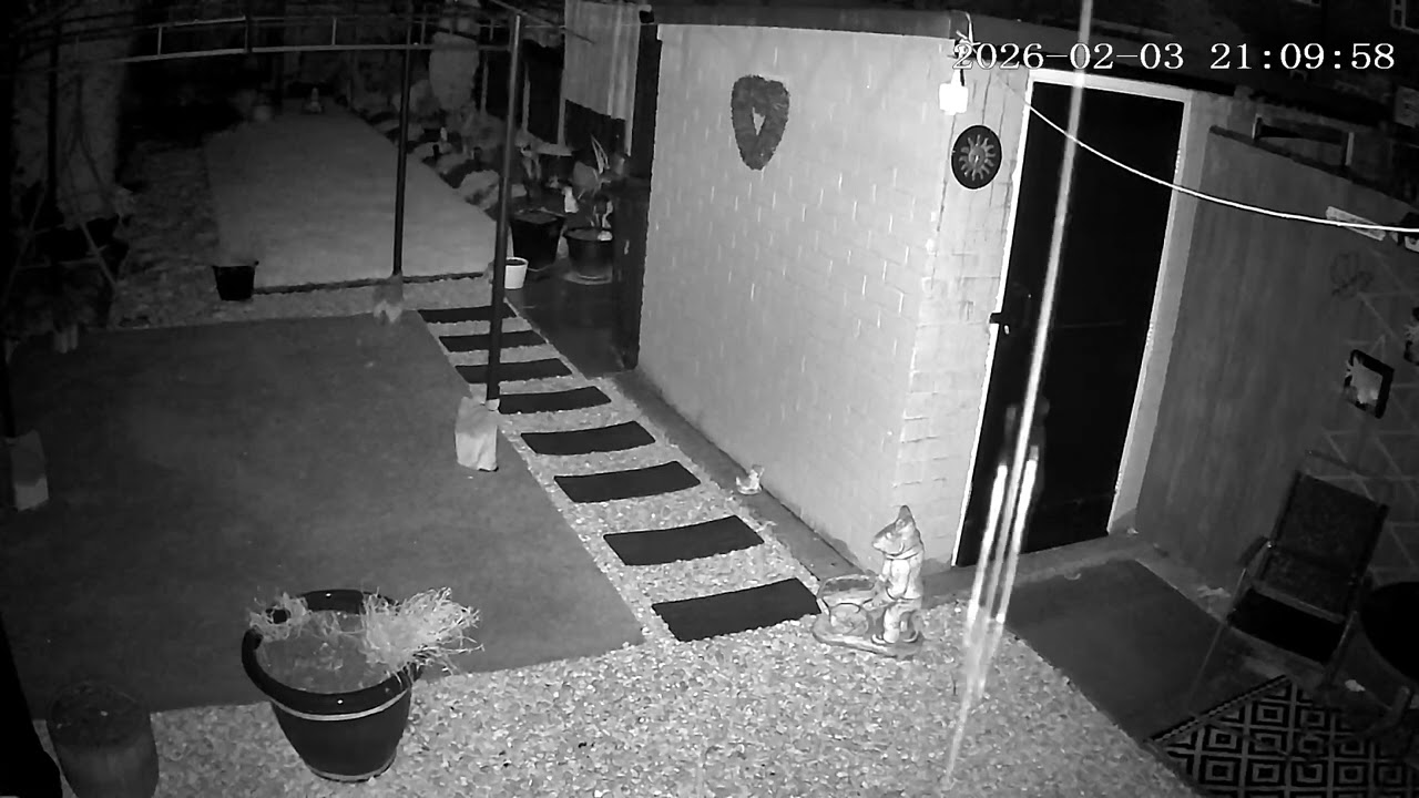 (3/2/2026) 21:08pm HULL (Uk) BYC [0507]