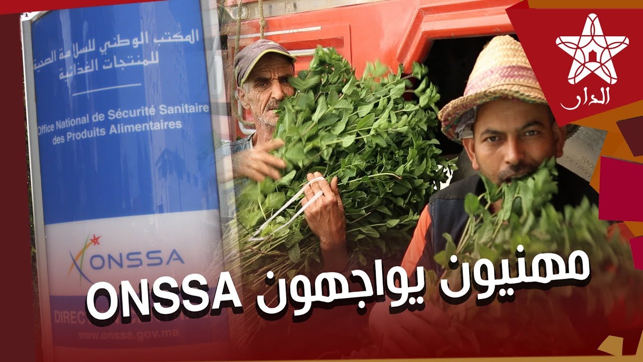 من داخل أكبر سوق لبيع النعنان بالمغرب: حقائق مثيرة حول قضية  تسمم النعنان