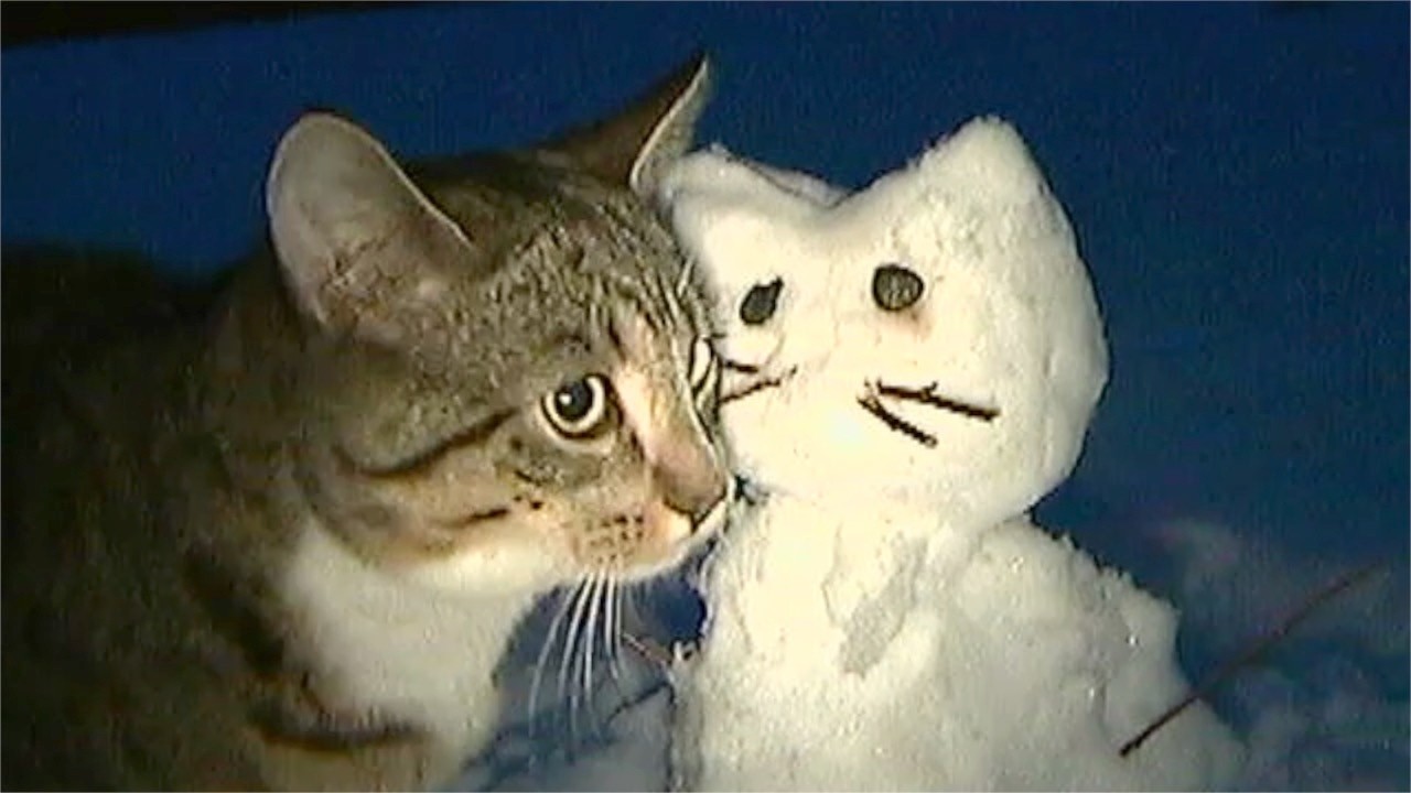 1/7/2026 - snow cat