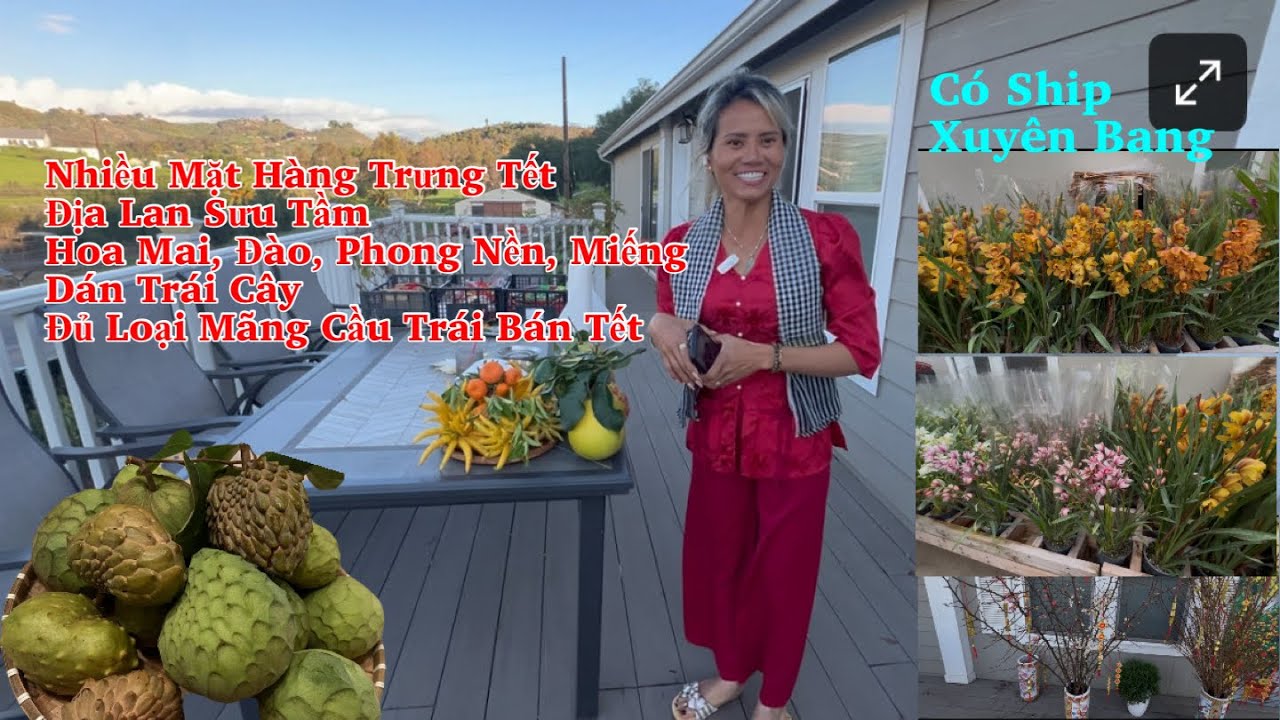 Ngập Tràn Nhiều Địa Lan Cây Ăn Trái Mãng Cầu & Hàng Cho Tết Nguyên Đán Ở Vườn Cây Út Nhỏ