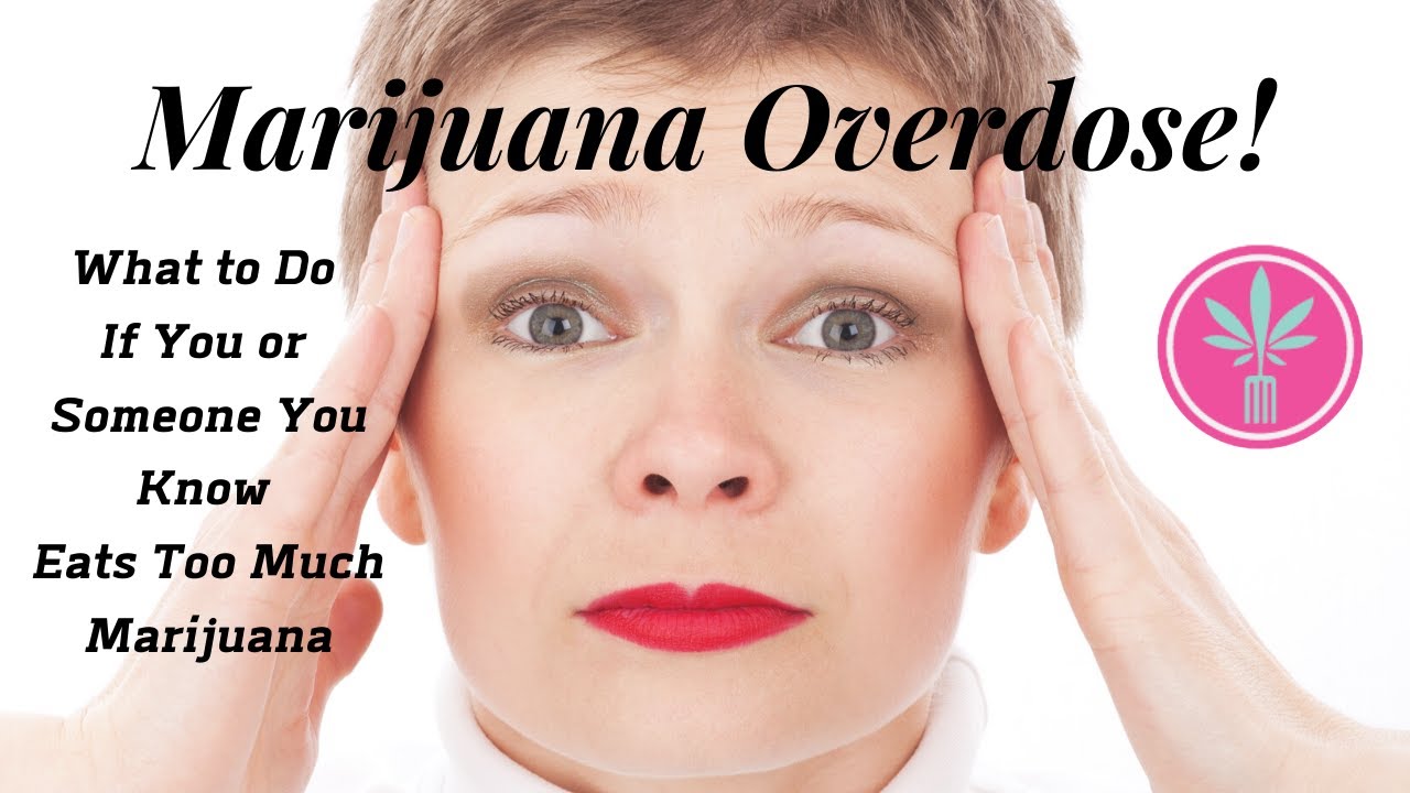 Marijuana Overdose? What To Do If You Ate Too Much THC!