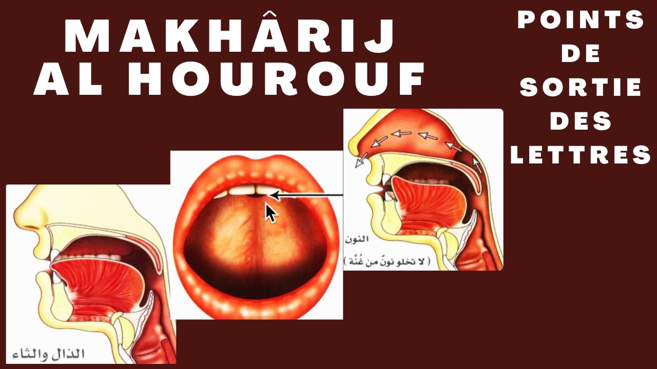 MAKHÂRIJ AL HOUROUF (المخارج) : voici comment faire pour prononcer correctement les lettres arabes