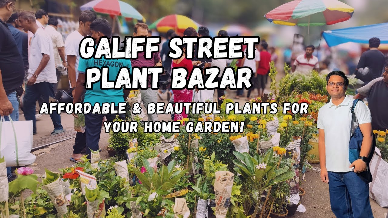Kolkata's Galiff Street Plant Bazaar is a MUST VISIT for Plant Lovers