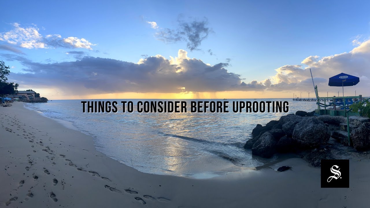 Things To Consider Before Uprooting