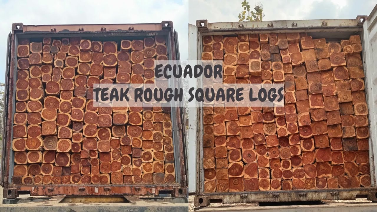 Ecuador TEAK rough square logs 