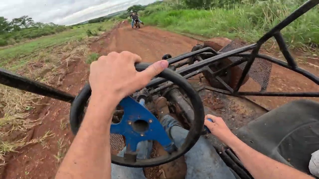 Andei na gaiola do meu irm&atilde;o