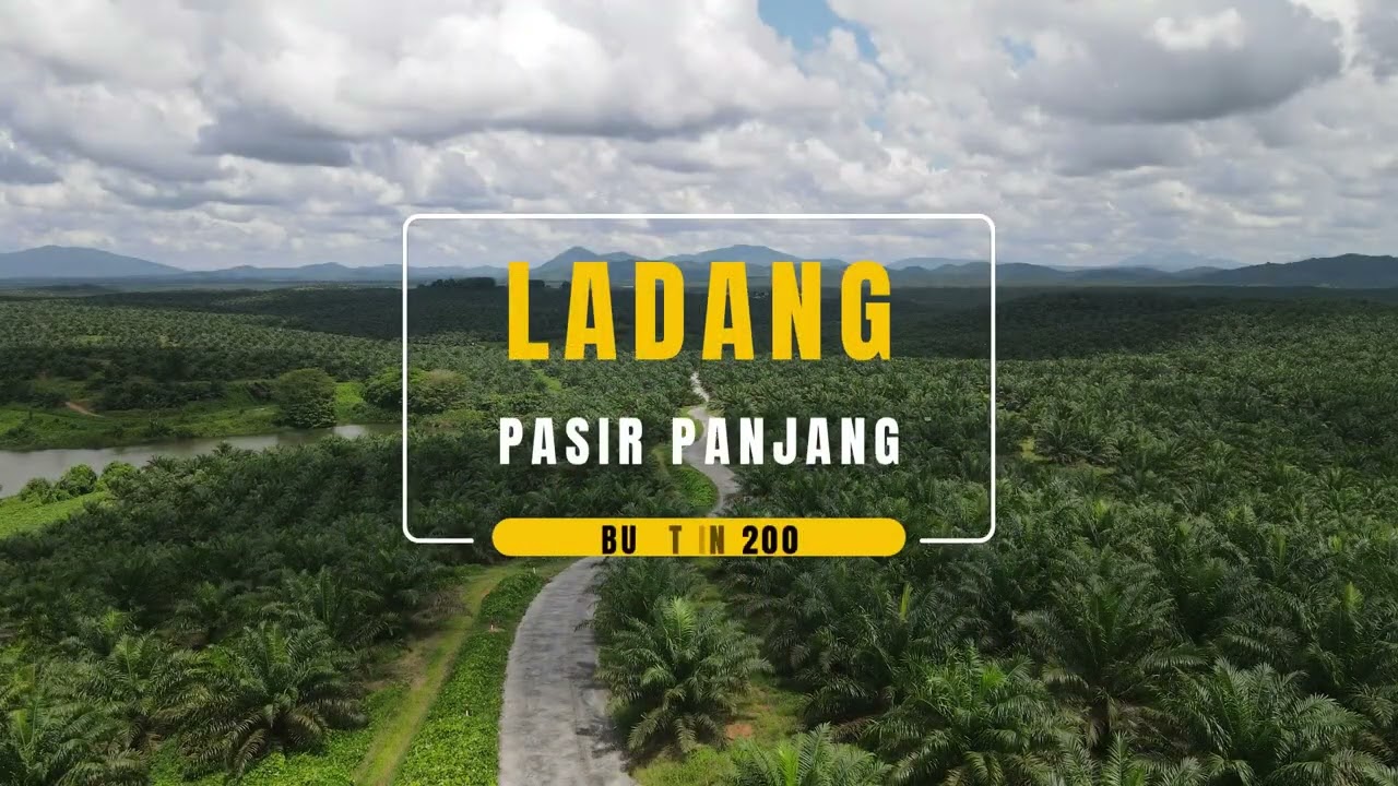 25 Years of Roads Construction in Oil Palm Plantation