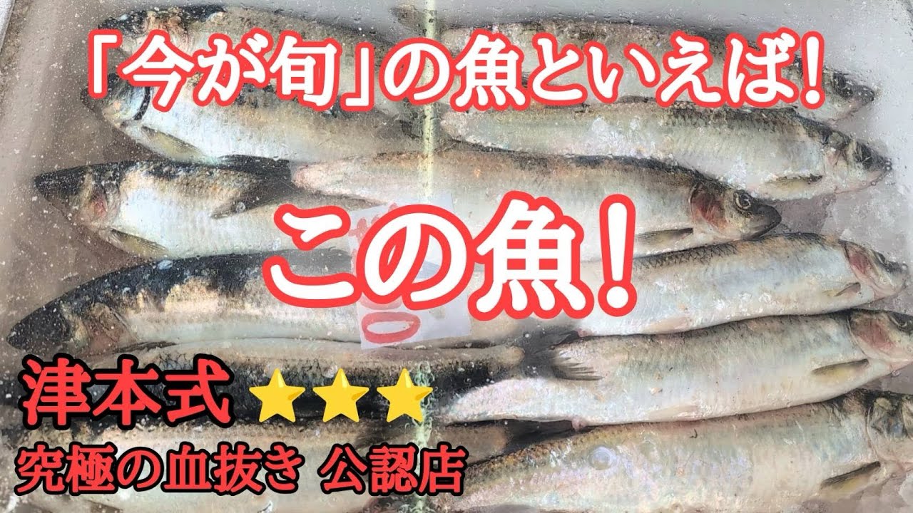 【北海道】余市町『一鱗 新岡商店』これから始まる○○漁の最新情報も！！