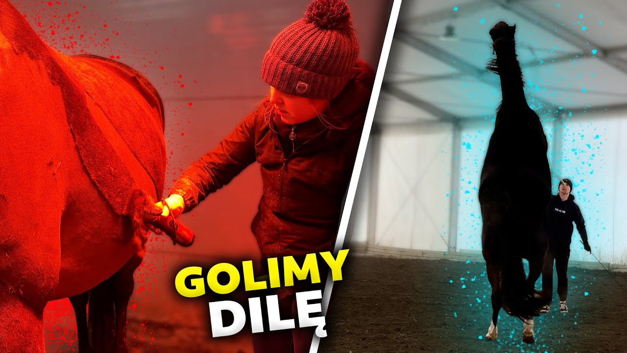 GOLĘ DILĘ | Prima zaczyna trenować | Nie wytrzymuję w tym zimnie… 🥶🥴