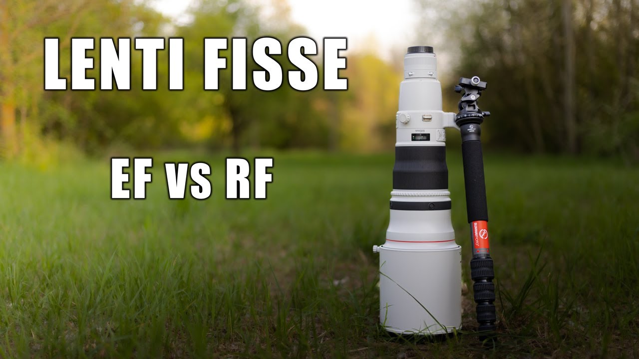 Lenti Fisse Canon,  EF vs RF Quale scegliere ? In attesa dell'uscita dei Teleobiettivi RF Mark ii ?
