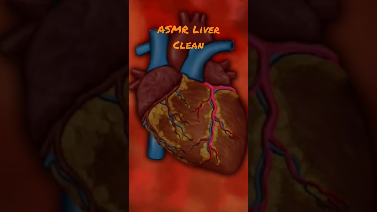 Liver Clean in 3D Animation with ASMR Doctor 