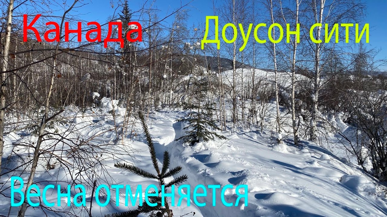 Весну отменили, Канада -29*С
