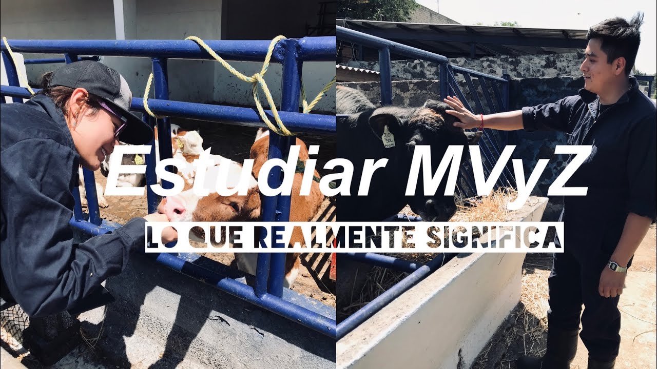 Si quieres estudiar Medicina Veterinaria y Zootecnia ve este video 🐈🐄