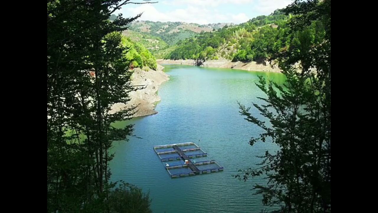 BOSILEGRAD MOJ GRAD - HM