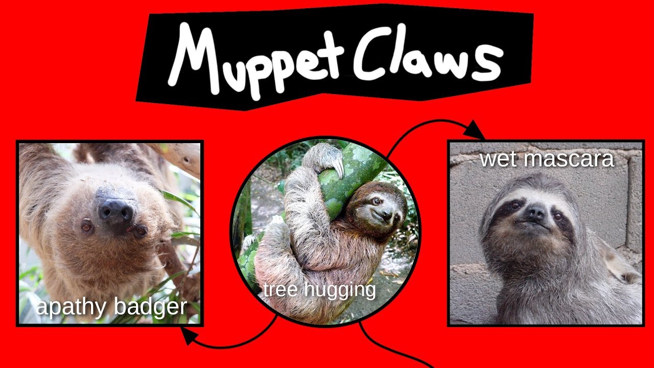 Muppet Claws Explained