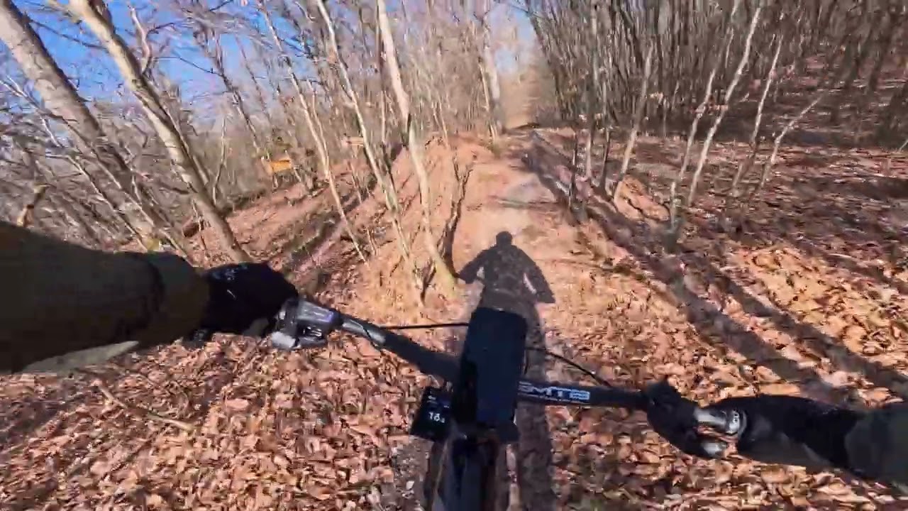 MTB Dünsberg Druidentrail - Radon Render 10