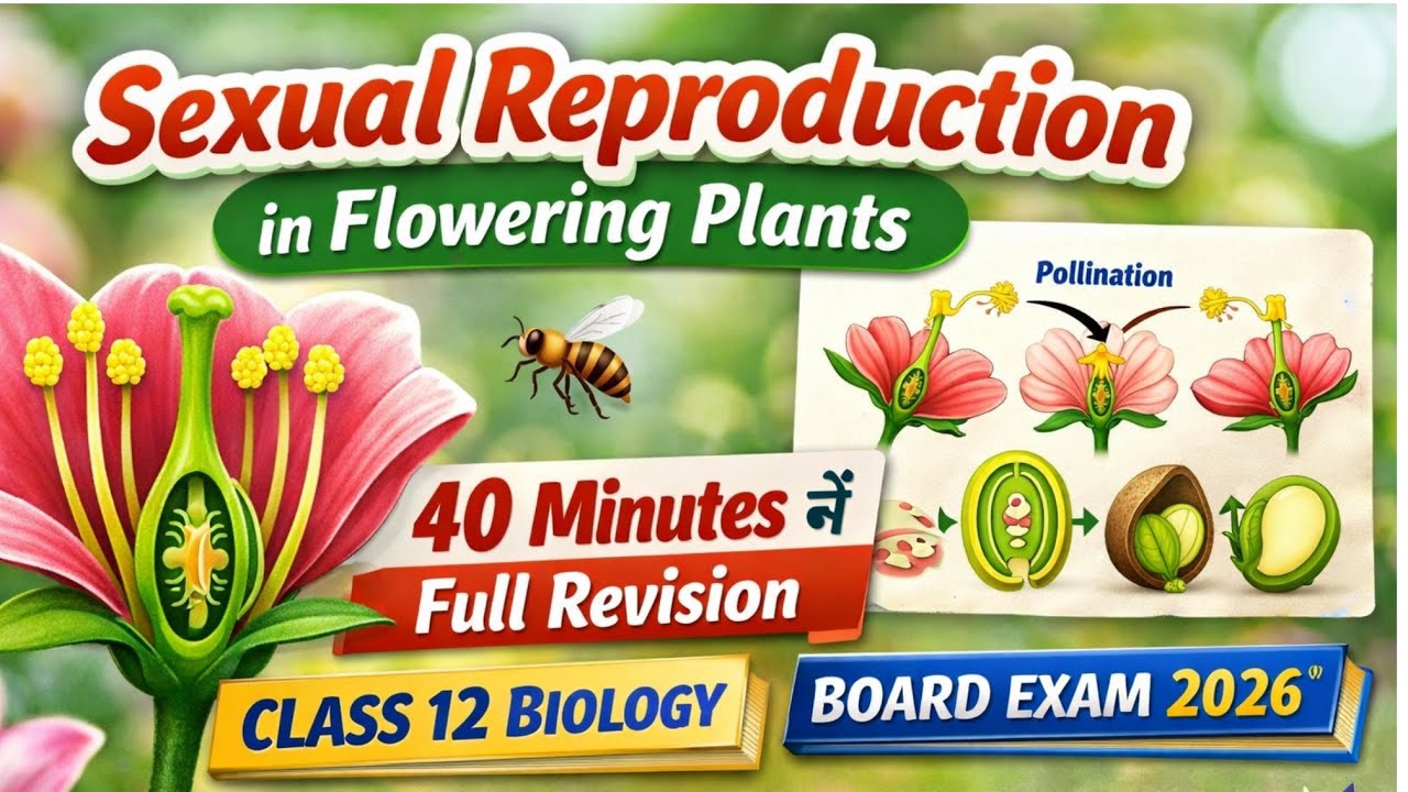 Sexual Reproduction in Flowering Plants – One Shot Revision 🚀 | Board Exam 2026 | Class 12 Biology