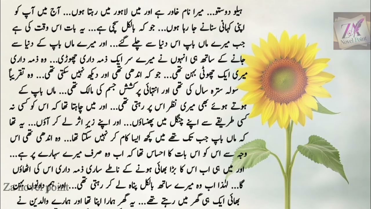 Bold romantic novel in urdu || Novel in urdu || Romantic novels in urdu || Za novel point || novel 6