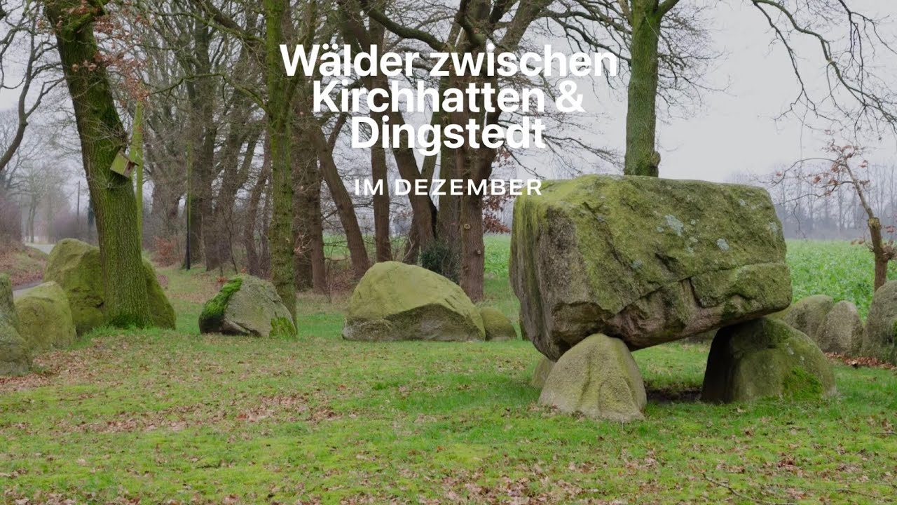 Wälder zwischen Kirchhatten und Dingstede