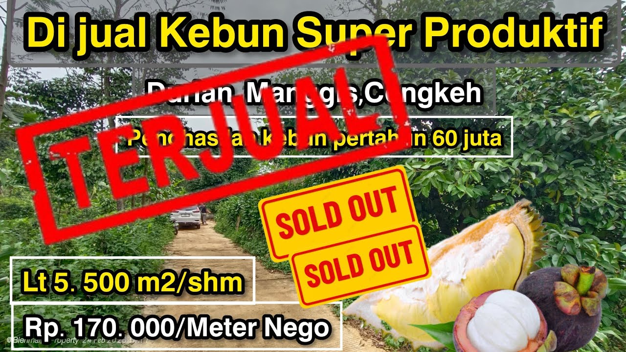 🌳 DIJUAL KEBUN SUBUR SIAP PANEN – DURIAN & MANGGIS PRODUKTIF | PURWAKARTA 🌳