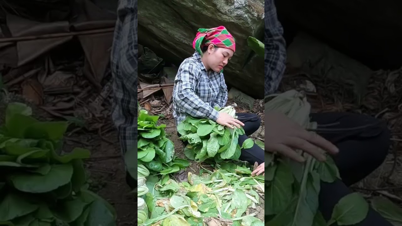Single mother harvests vegetable garden and sells it for a huge amount of money. Orphaned Po