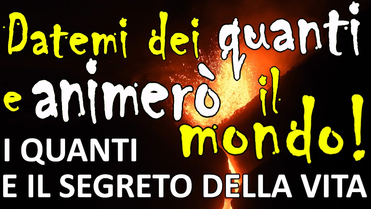 DATEMI DEI QUANTI E ANIMERO' IL MONDO! - I quanti e il segreto della vita