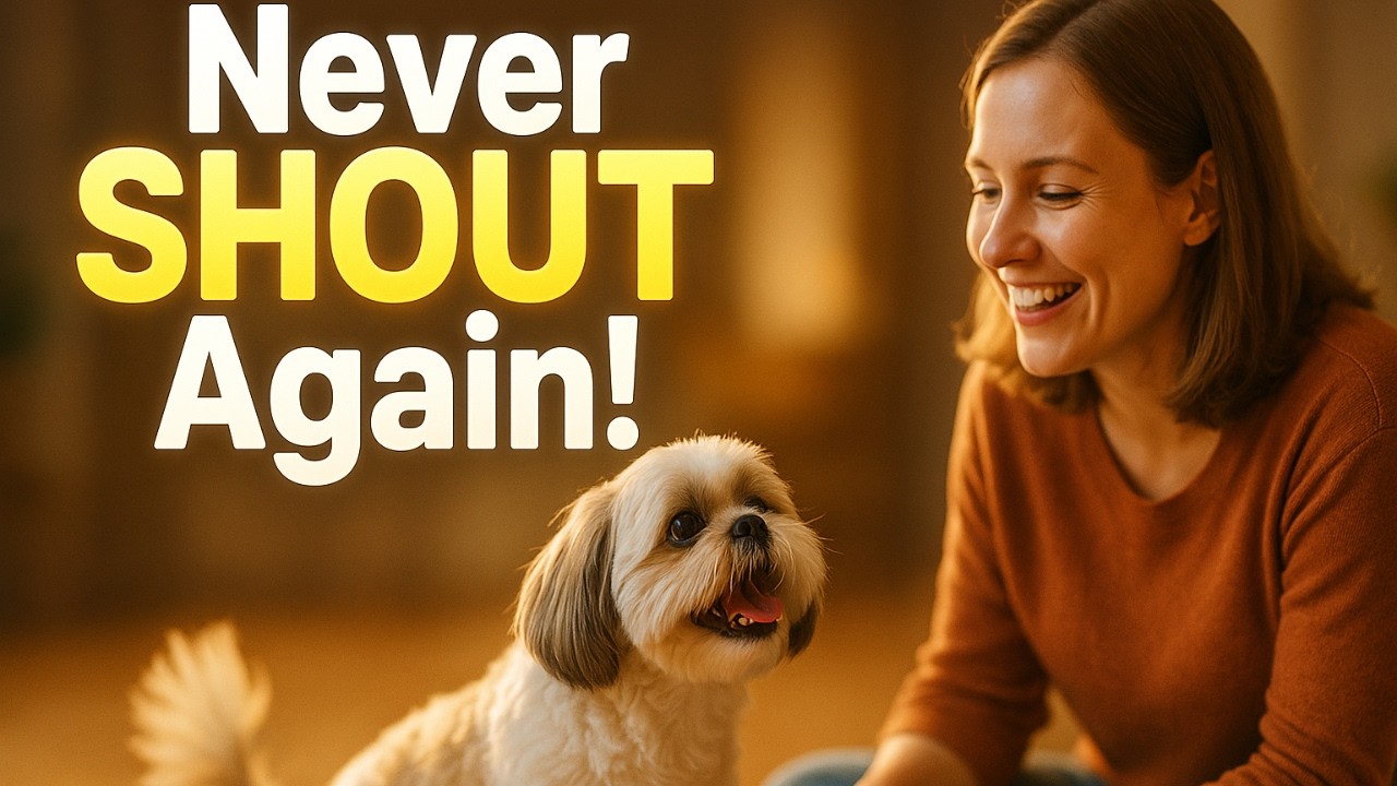 Does Your Shih Tzu Never Obey? Do THIS and See the Immediate Change!