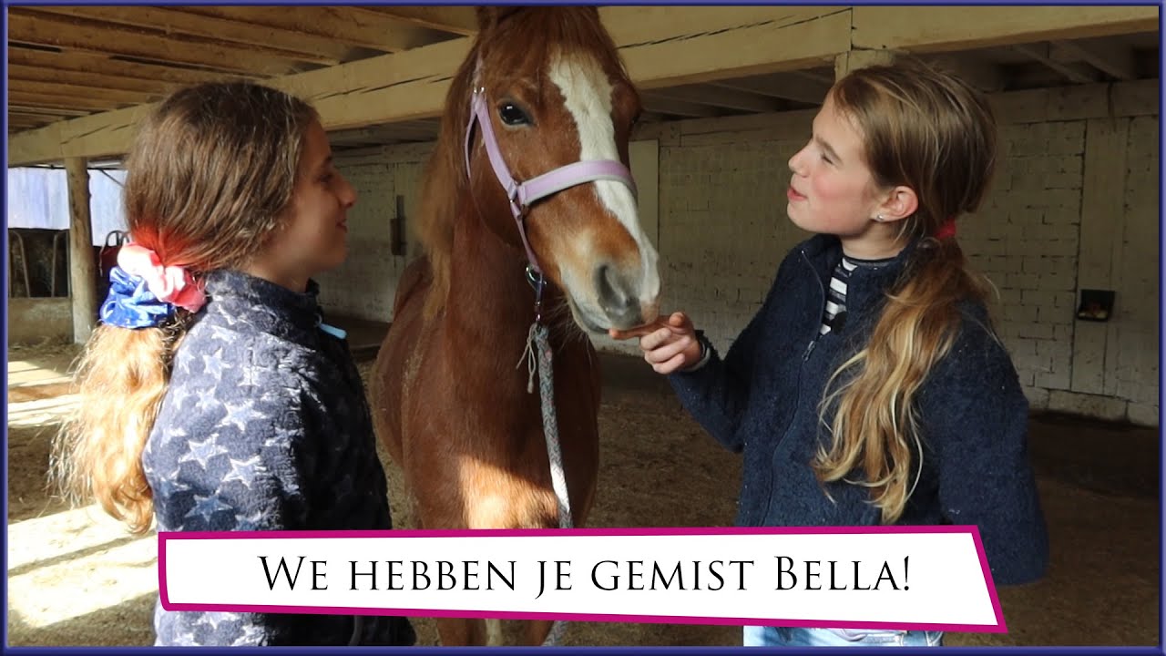 Naar Belletje onze vorige pony in Duitsland! -weekvlog- * Hart voor Paarden *