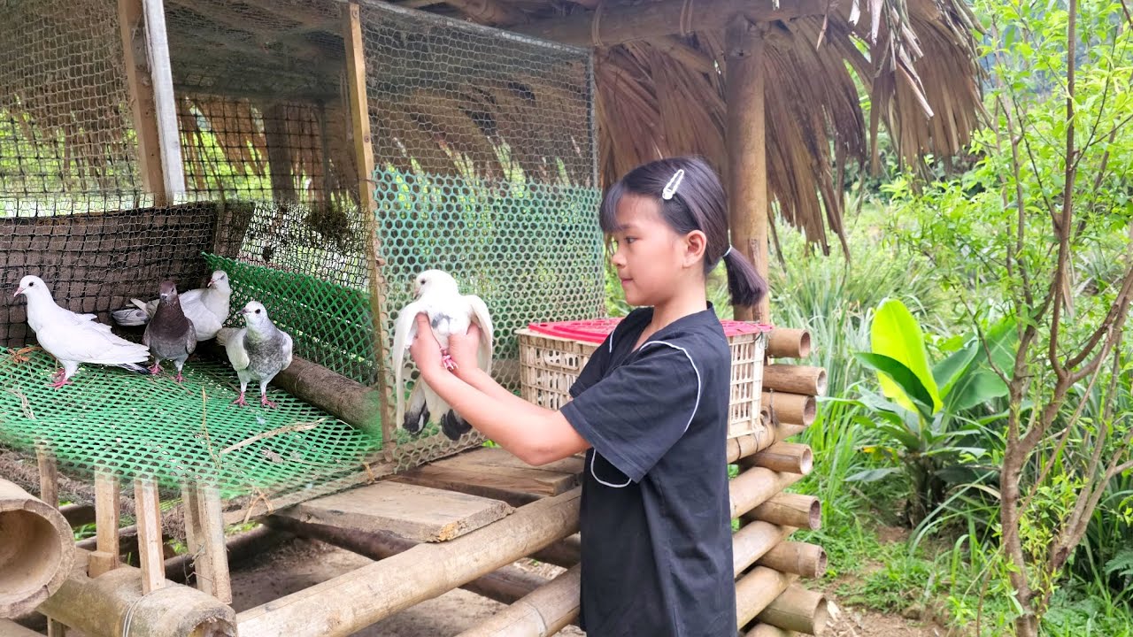 Phuong Vy bought some pigeons to take care of so she could have more pets as friends.