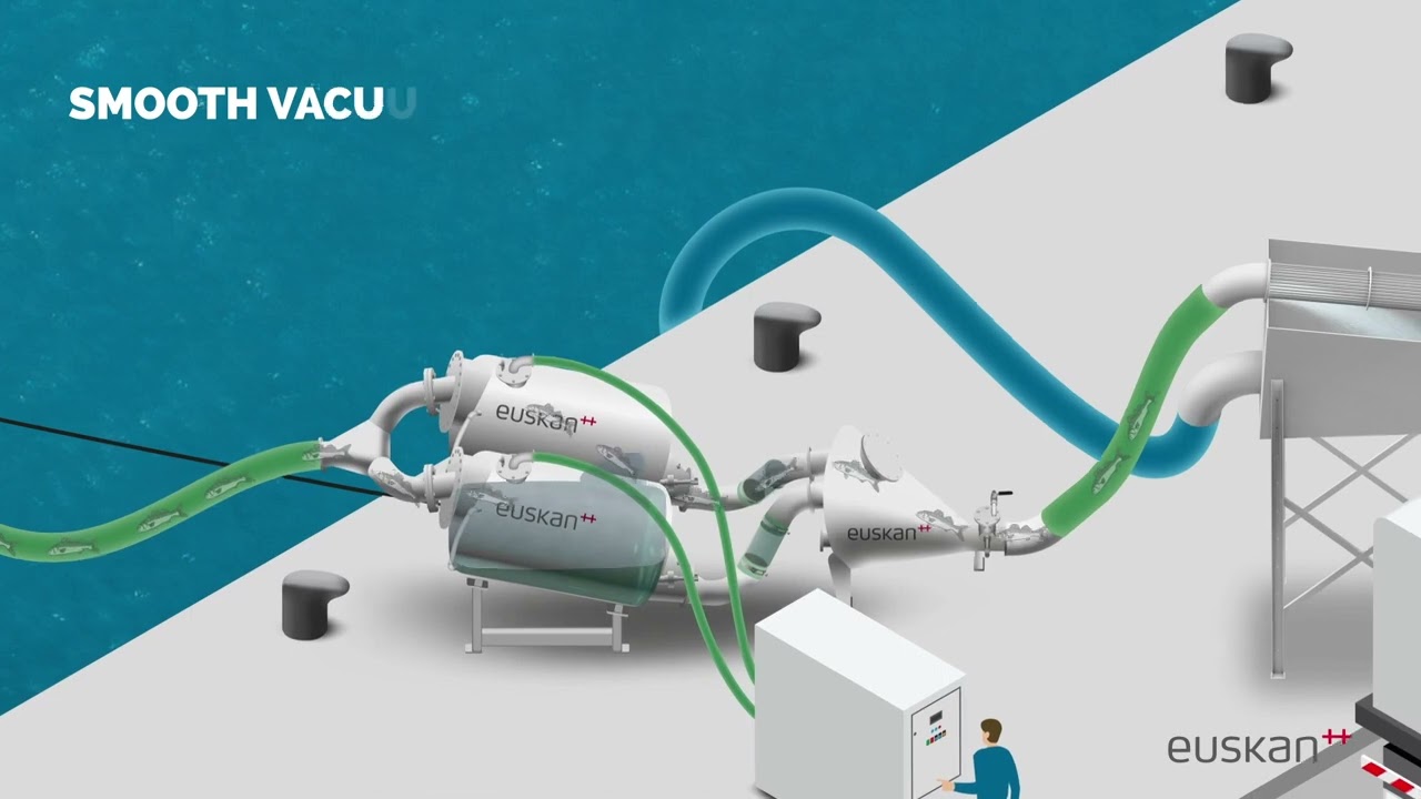 Euskan Fish Handling Systems - Animation