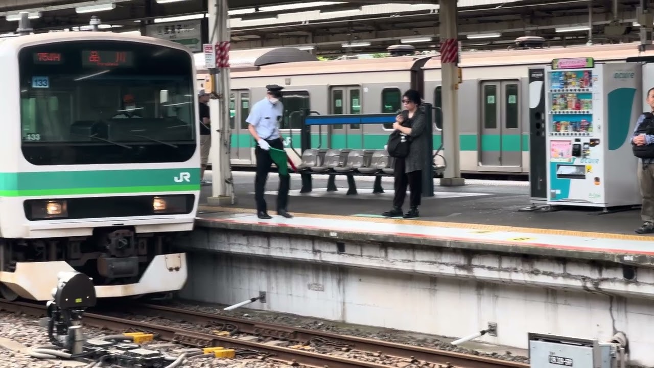 常磐快速線・成田線E231系 我孫子駅併結