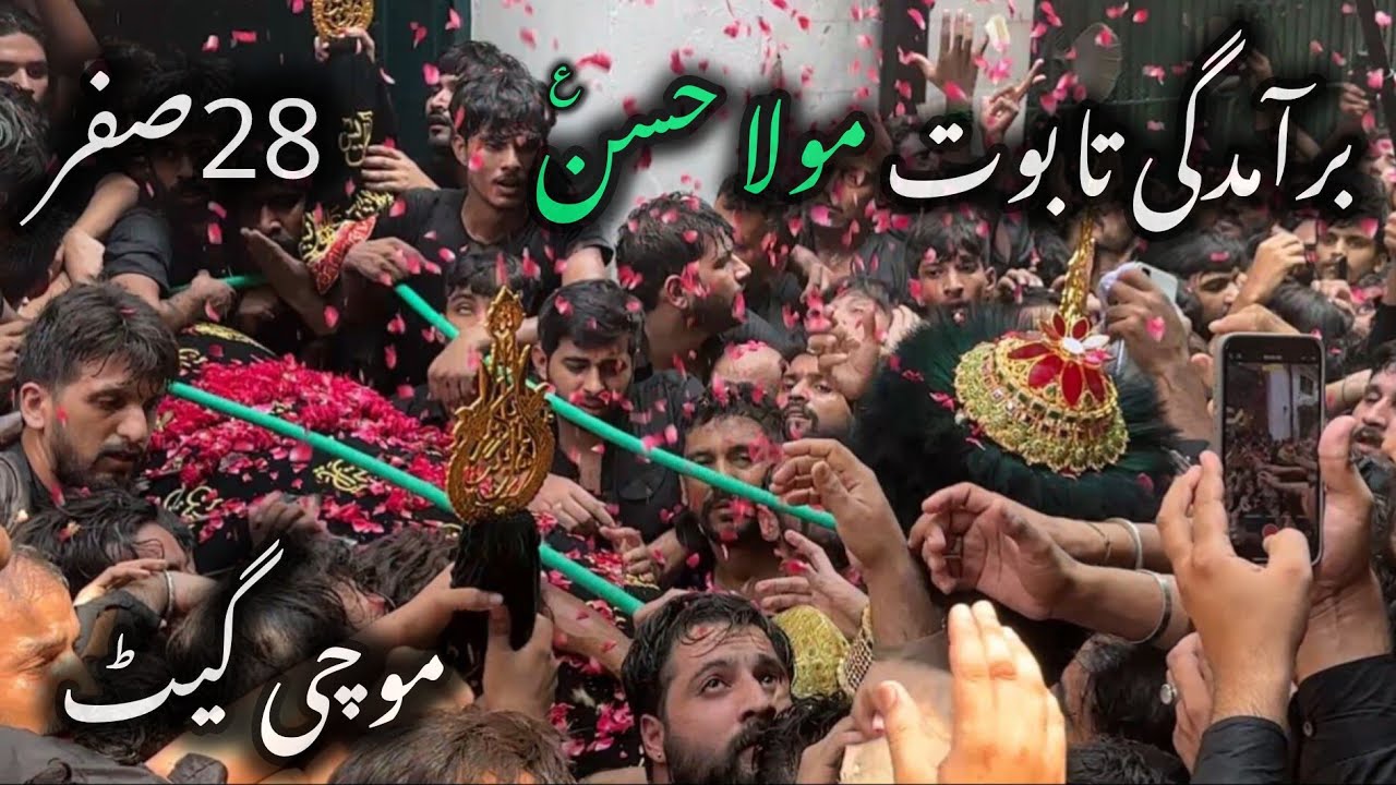Baramdagi Taboot (28 Safar 2025) | Shahadat Mola Hassan a.s | Mochi Gate Lahore #foryou #baramdagi 